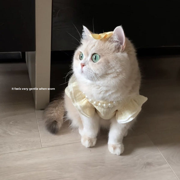 Cream-Colored Cat Dress