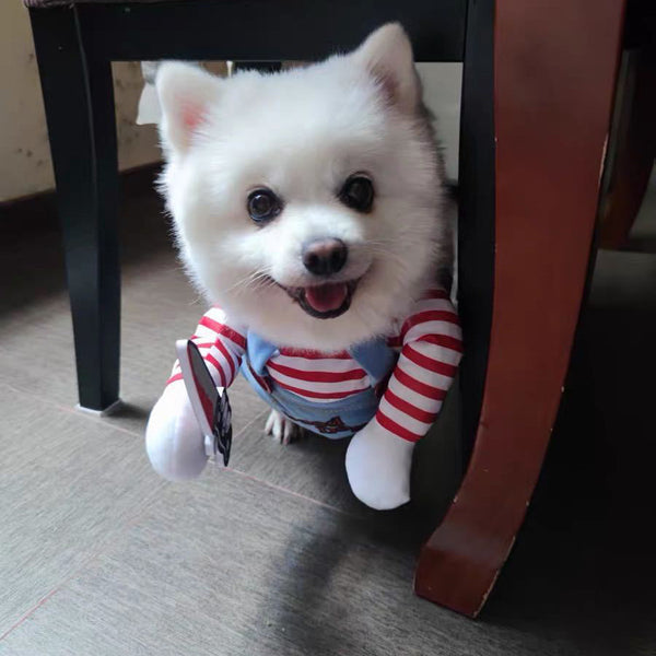 Halloween-Themed Pet Costumes