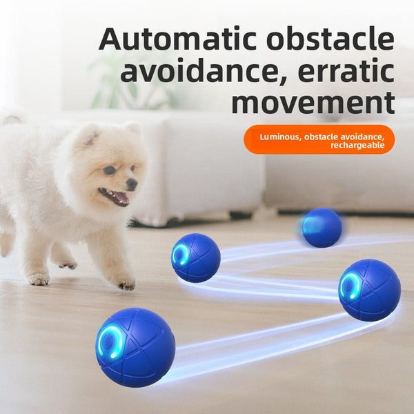 Smart Dog Bouncing Ball