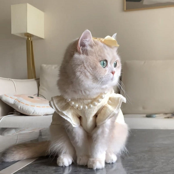 Cream-Colored Cat Dress