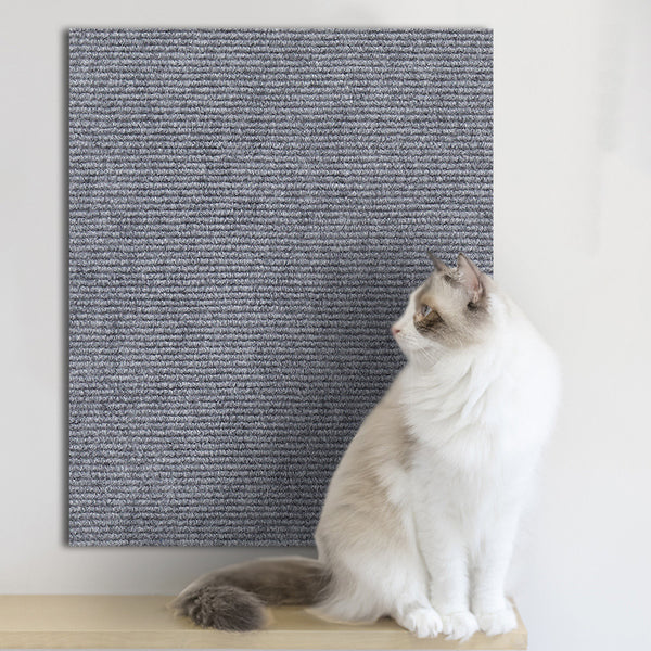 Scratch Protection Wall Sticker