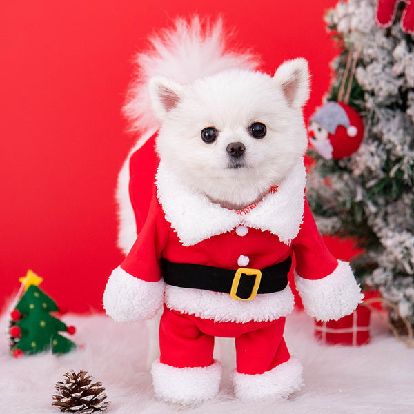 Christmas Outfit with Hat
