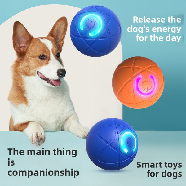 Smart Dog Bouncing Ball