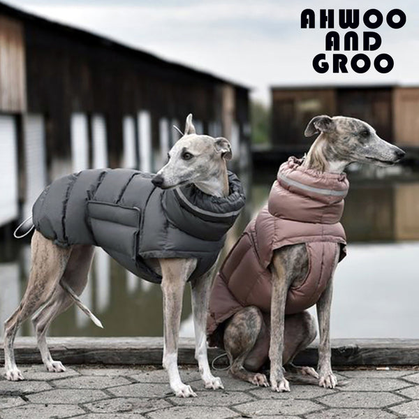 Windproof Waterproof Dog Raincoat