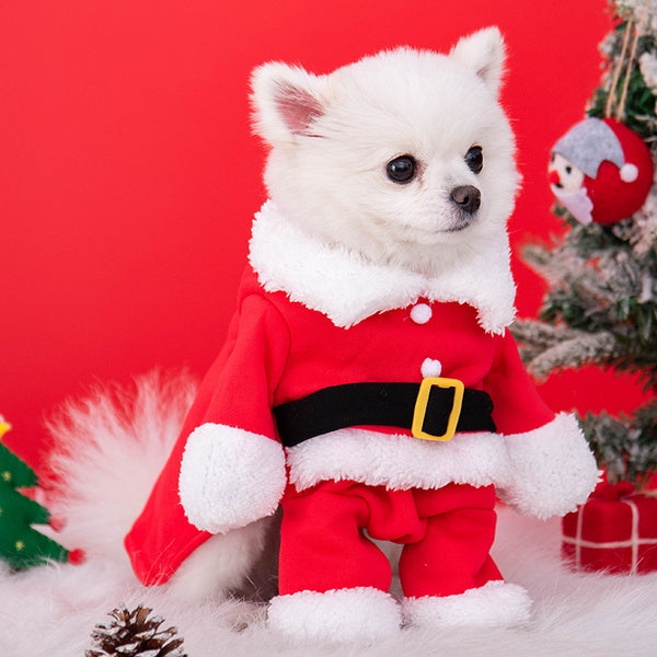 Christmas Outfit with Hat