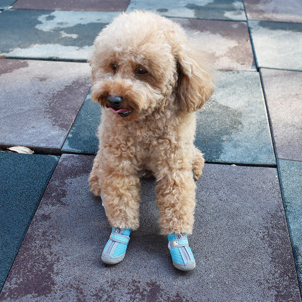Mesh Dog Shoes