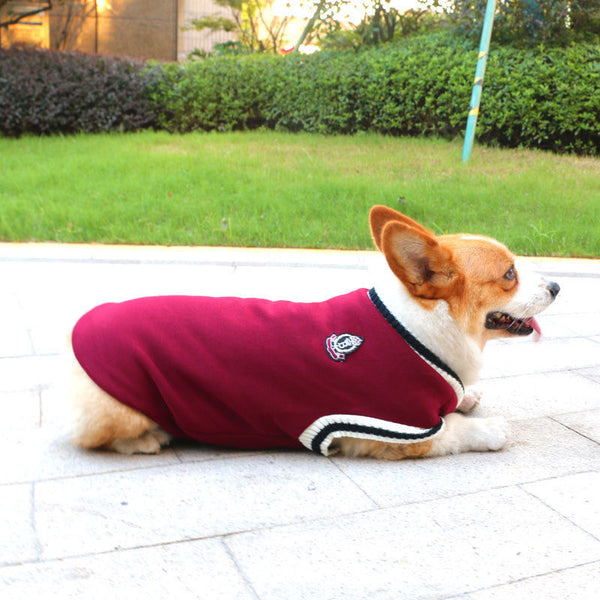 Soft and Cozy Pet Sweaters