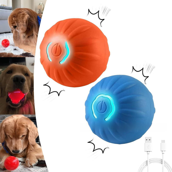 Smart Dog Bouncing Ball