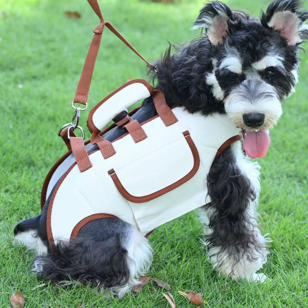 Portable Pet Carrier Backpack