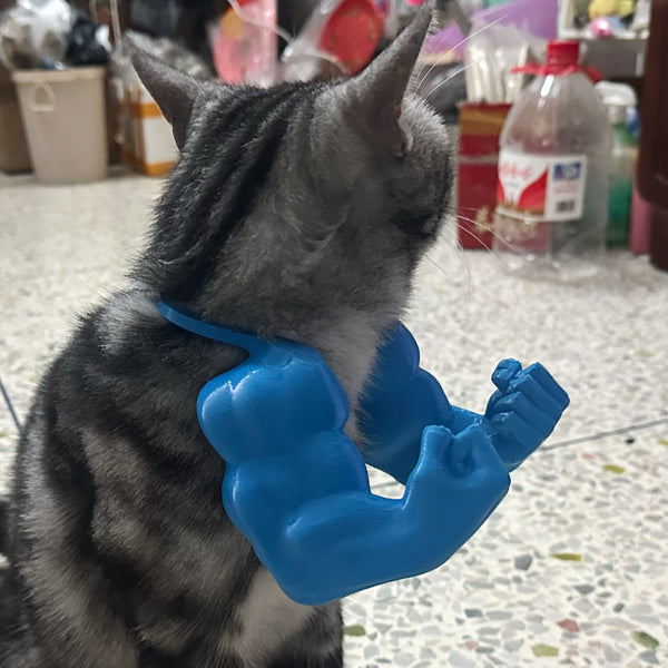 Giant Arm Cat Toy