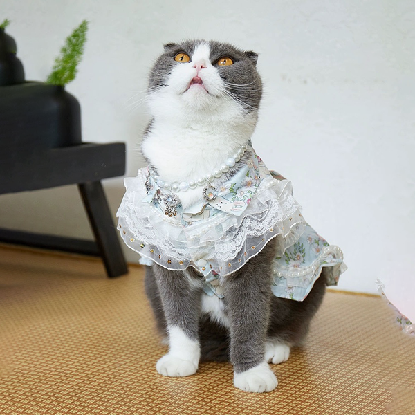 Floral Cat Dress with Lace Trim