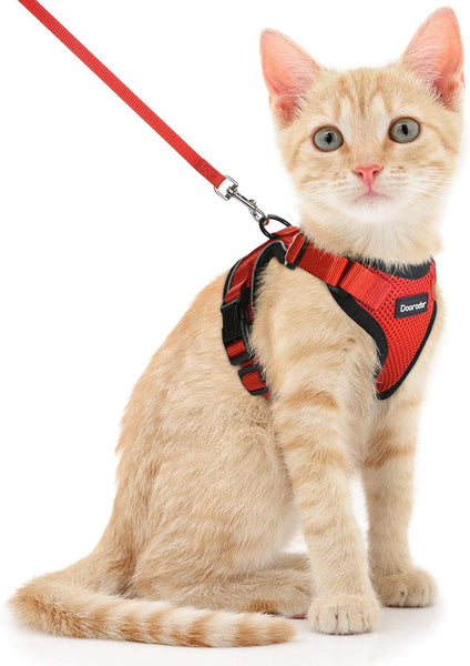Cat Chest Harness and Leash