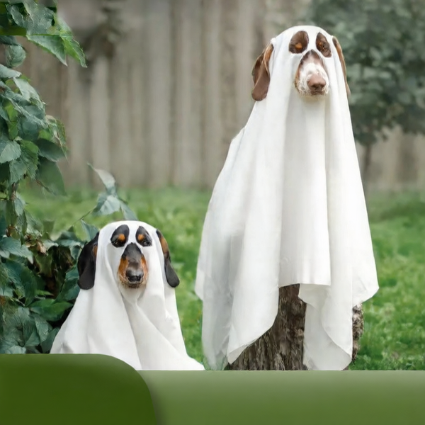 Dog Halloween Costume