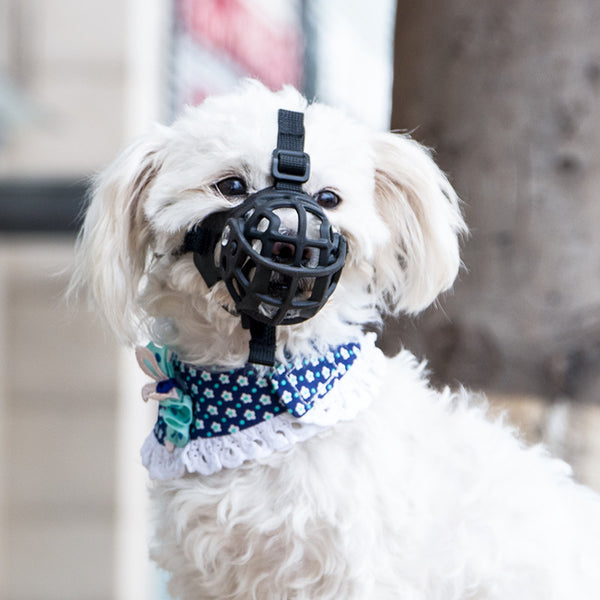 Adjustable Silicone Dog Muzzle