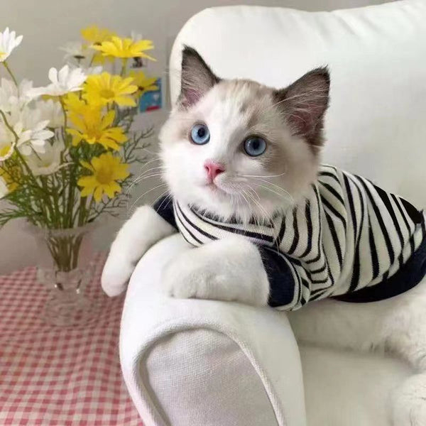 Breathable Polyester Pet Shirts