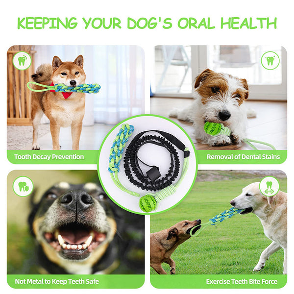 Dog Chew Toy with Rope and Ball