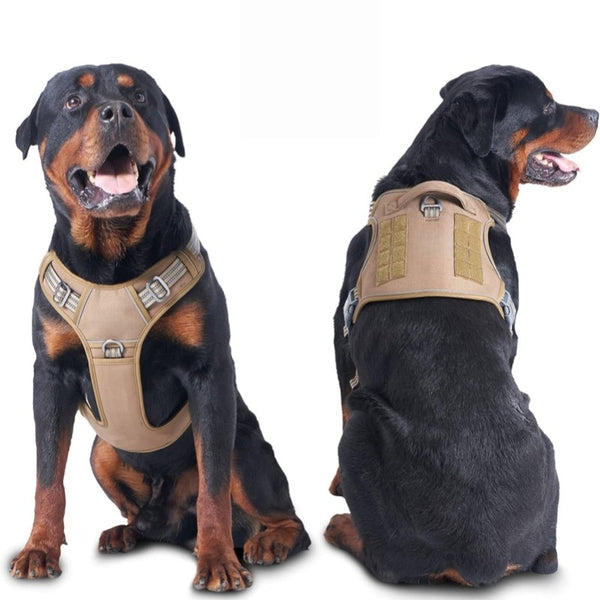 Dog Harness with Leash Attachment