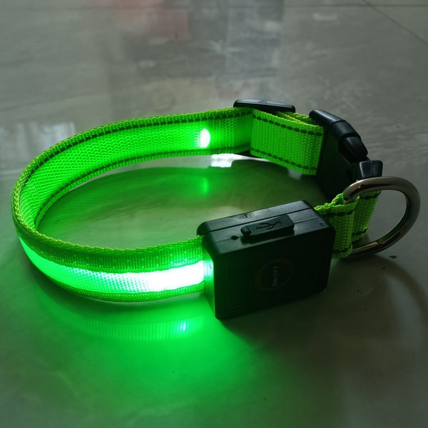 USB Rechargeable Led Dog Collar