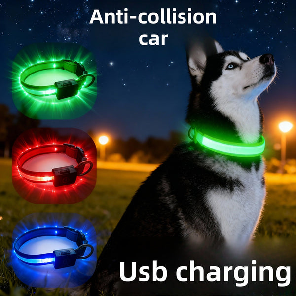 USB Rechargeable Led Dog Collar