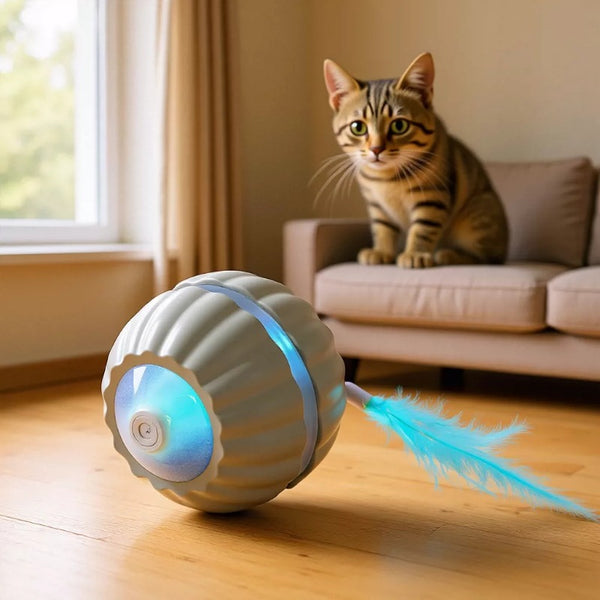 Interactive Cat Toy
