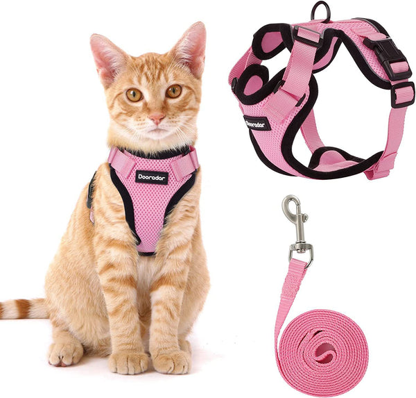 Cat Chest Harness and Leash