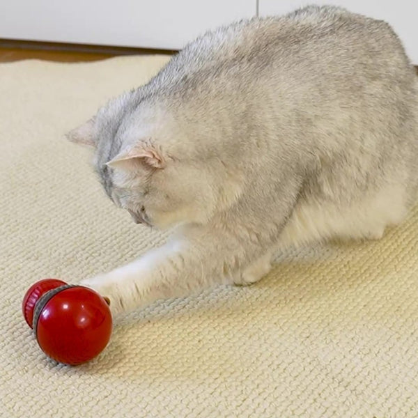 Rotating Cat Toy with Treat Dispenser