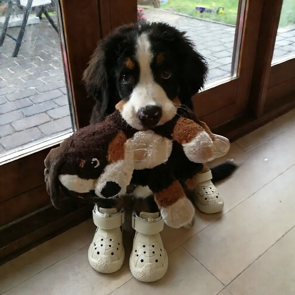 Durable Slip-Resistant Dog Shoes