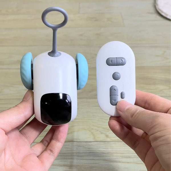 Speedster Car Interactive Cat Toy