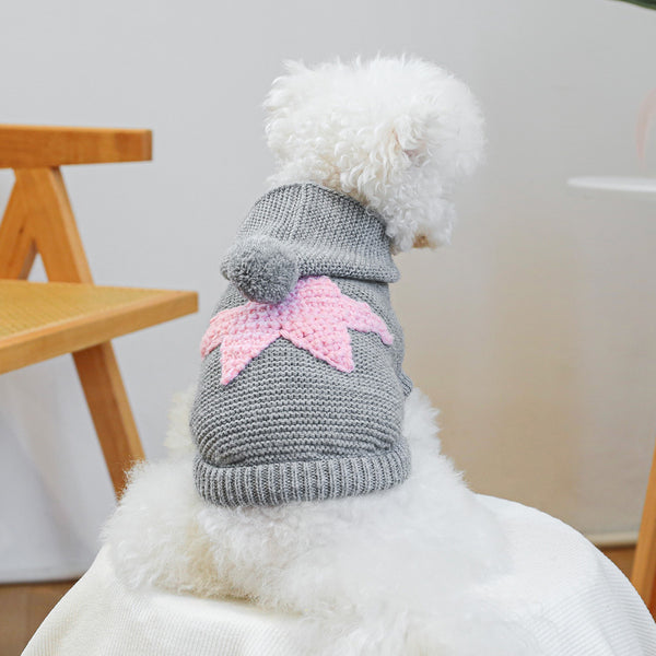 Wool Sweaters for Dogs and Cats