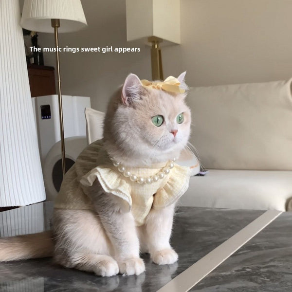 Cream-Colored Cat Dress