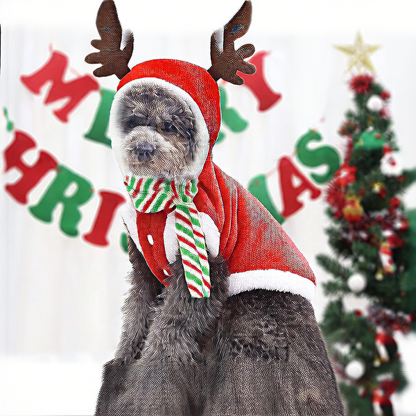 Christmas-Themed Dog Costume