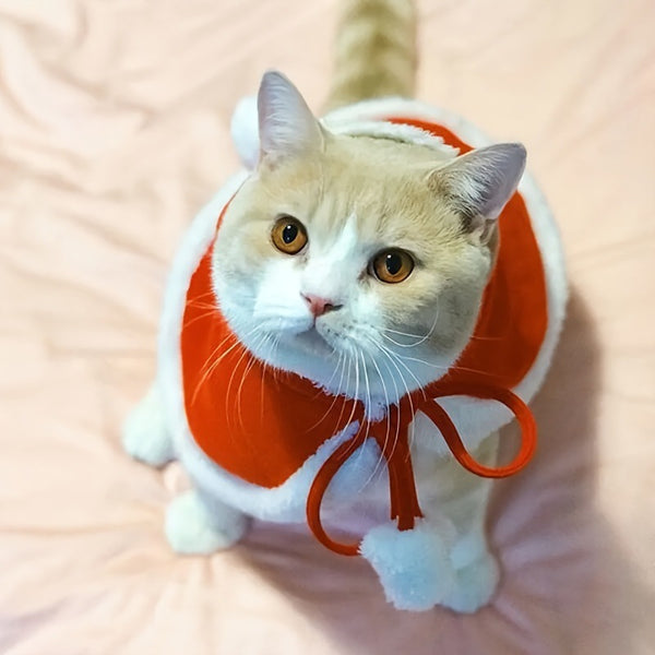 Christmas-Themed Pet Cloak and Hat Set
