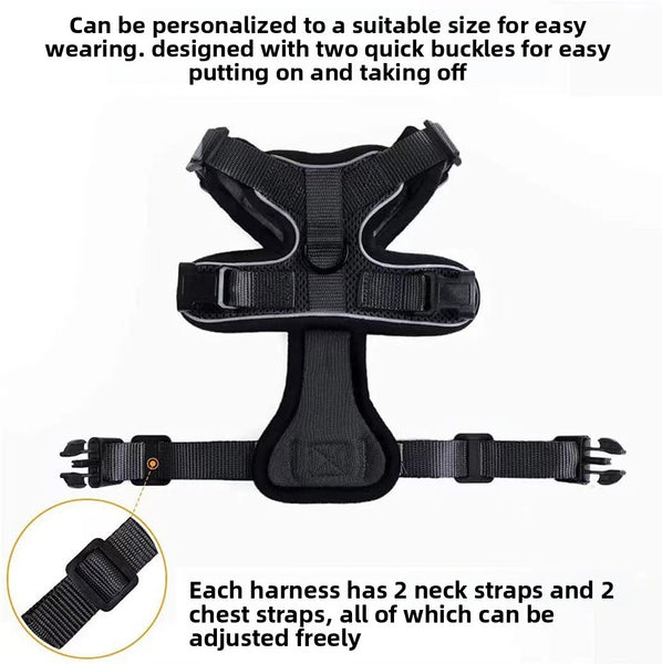 Cat Chest Harness and Leash