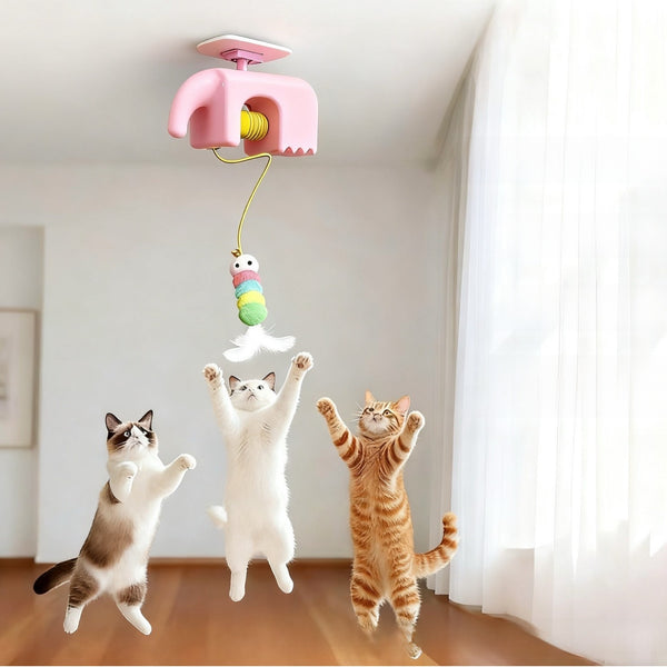Rotating Cat Toy with Feathers