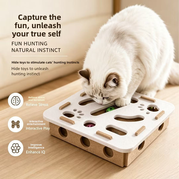 Cat Scratching Maze Toy