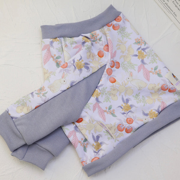 Elbow Protection Dog Clothing