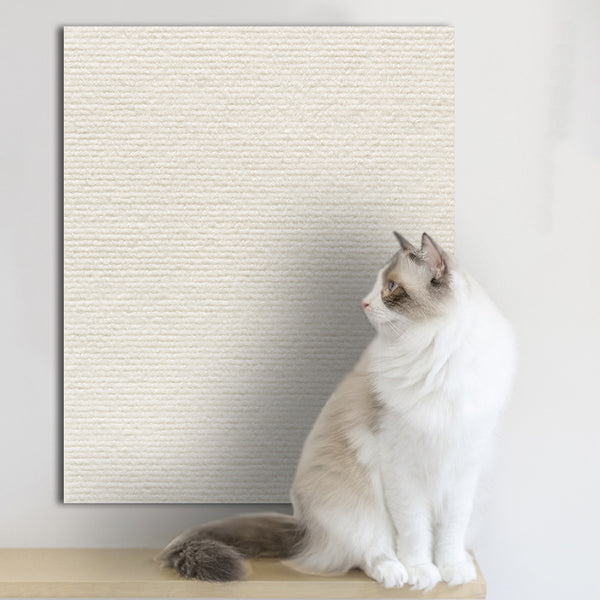 Scratch Protection Wall Sticker