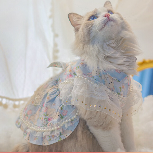 Floral Cat Dress with Lace Trim
