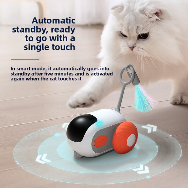 Speedster Car Interactive Cat Toy