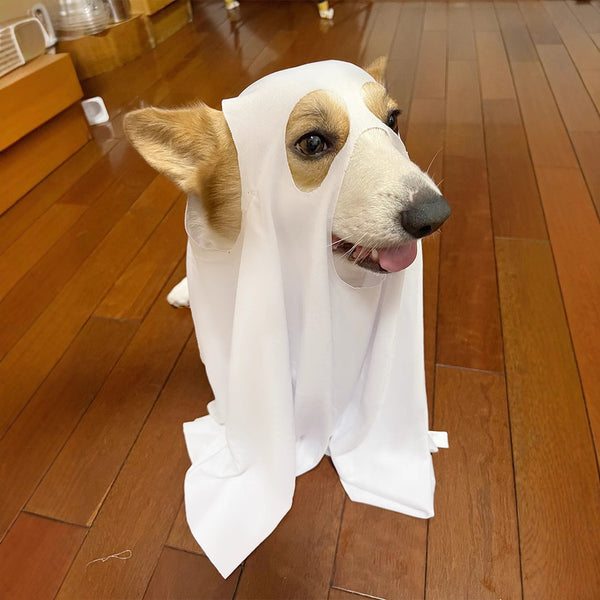 Dog Halloween Costume
