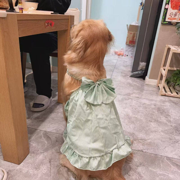 Dog Dress for Large Breeds