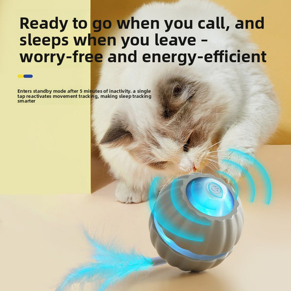Interactive Cat Toy
