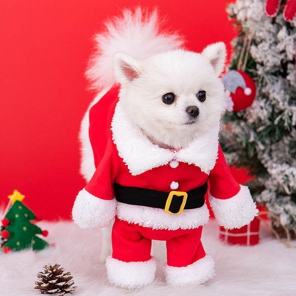 Christmas Outfit with Hat
