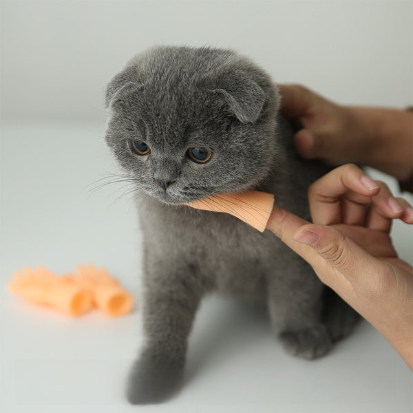 Interactive Finger Glove Toys for Cats