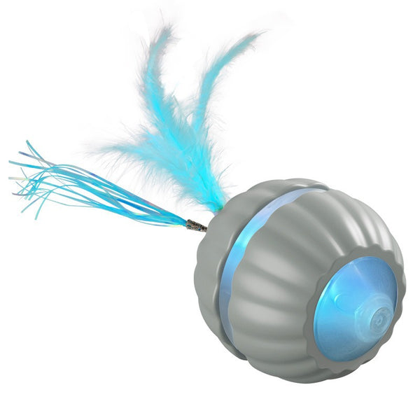 Interactive Cat Toy