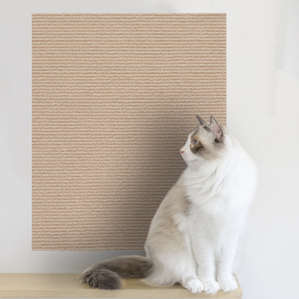 Scratch Protection Wall Sticker