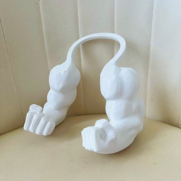 Giant Arm Cat Toy