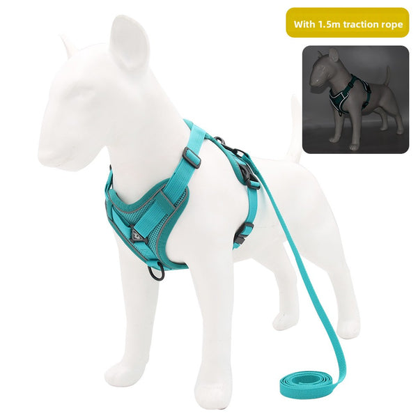 Pet Leash with Adjustable Straps