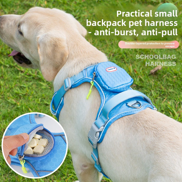Buckle and Strap Dog Leash