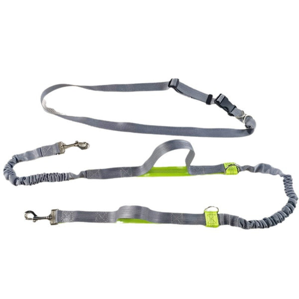 Adjustable Hands-Free Dog Leash